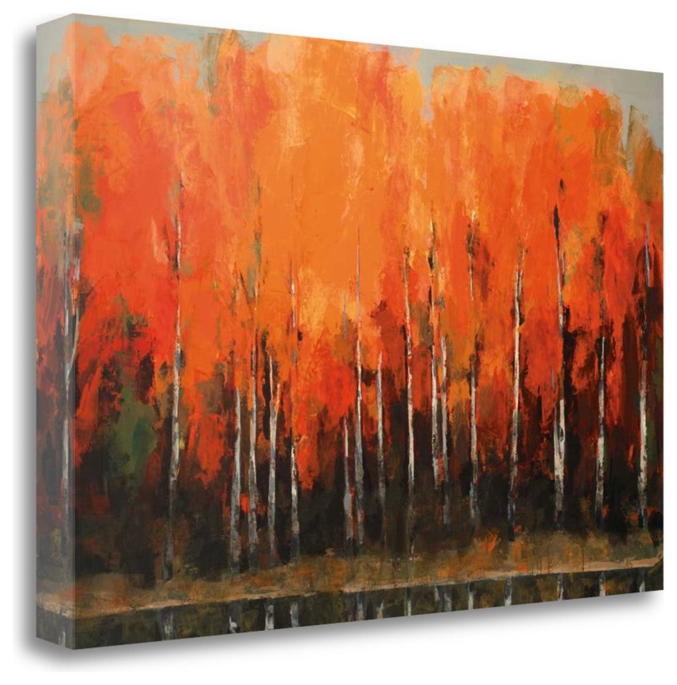 "Birch Shoreline" By Peter Colbert , Giclee Print on Gallery Wrap Canvas
