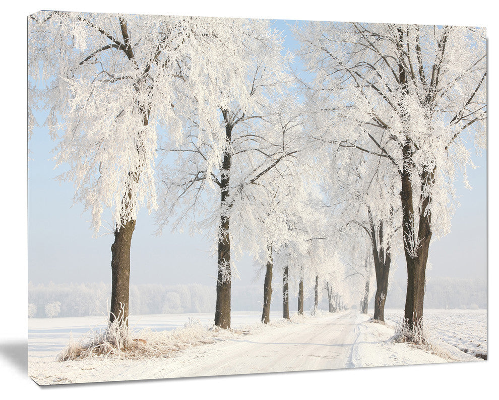Winter Lane on Sunny Morning, Forest Canvas Art Print, 20"x12"