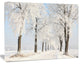 Winter Lane on Sunny Morning, Forest Canvas Art Print, 20"x12"