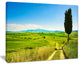 "Rural Landscape Countryside Farm" Landscape Wall Art Print, 40"x30"