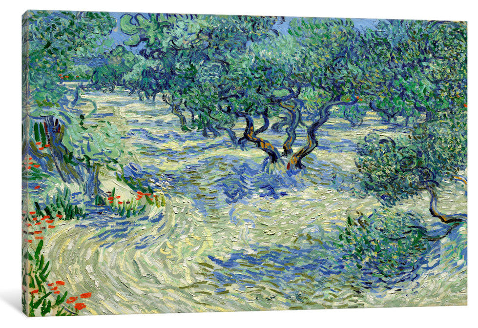 "Olive Orchard" Wrapped Canvas Art Print, 40x26x1.5