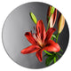 Cute Red Lily Flower Over Black, Flowers Round Metal Wall Art, 23"
