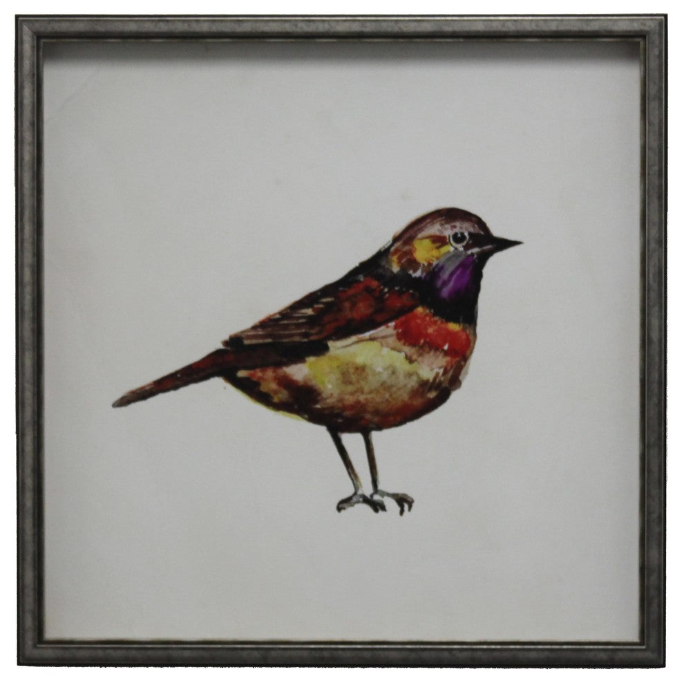 Bright Bird With Red And Purple, Silver And Black Shadowbox