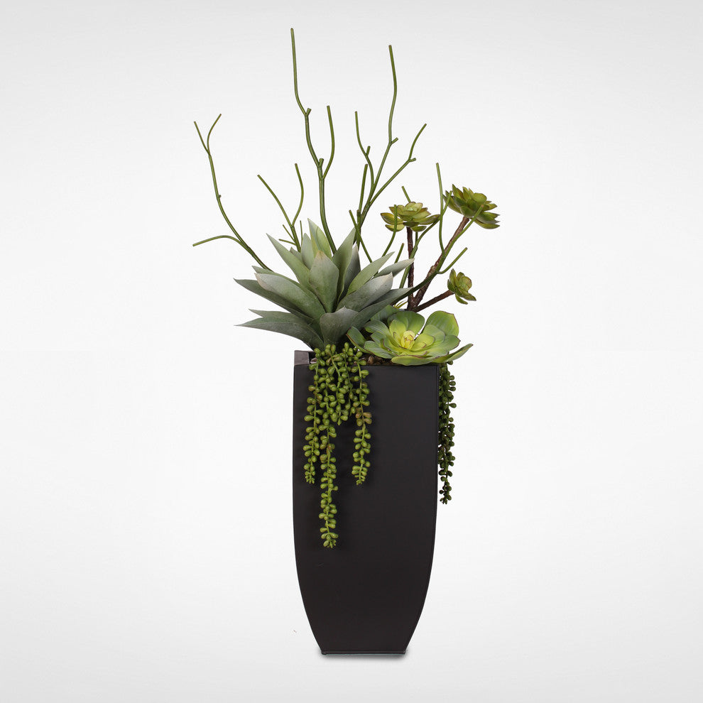 Botanical Succulent Variety With Tall Black Modern Metal Planter