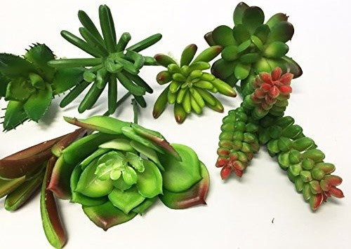 20 Long Large Stems