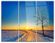"Distant Sunset in Winter" Photography Metal Wall Art, 3 Panels, 36"x28"