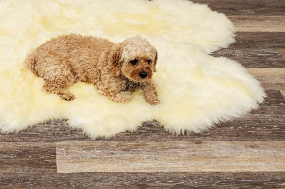 Natural 100% New Zealand Sheepskin Six Rug 5'x6', Natural