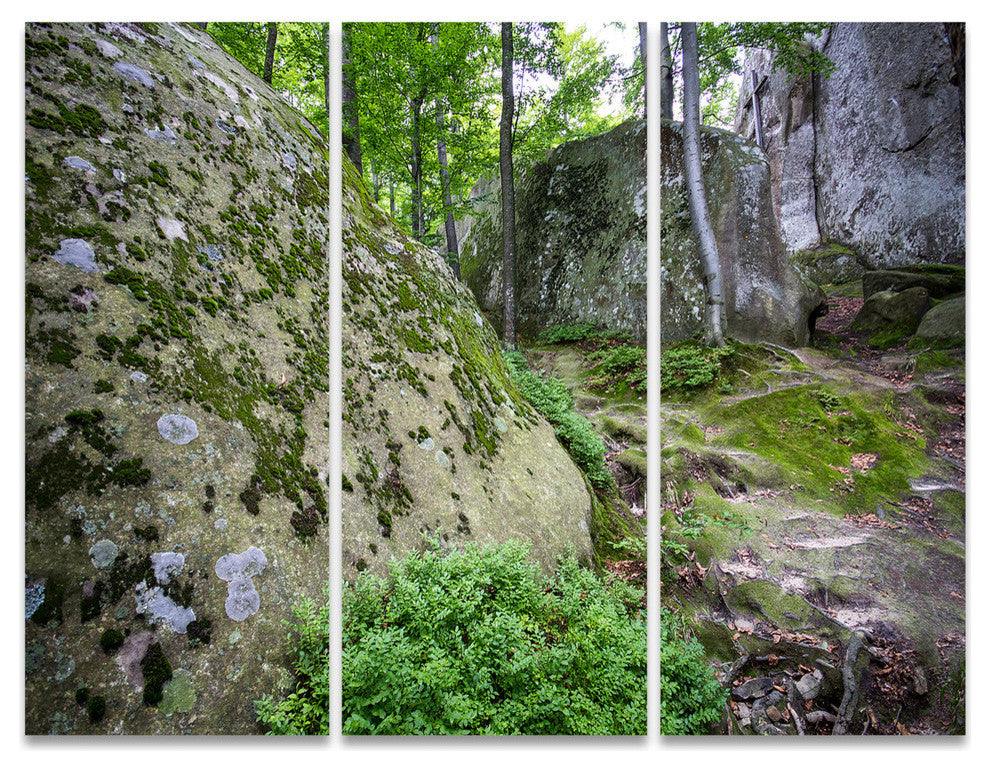 "Rocky Deep Moss Forest Ukraine" Metal Wall Art, 3 Panels, 36"x28"