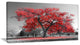 Big Red Tree on Foggy Day, Landscape Canvas Art Print, 32"x16"