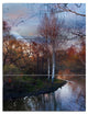 "Forest River in the Spring" Photo Metal Wall Art, 3 Panels, 28"x36"