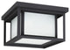 Generation Lighting Lighting 2-Light Outdoor Flush Mount, Black