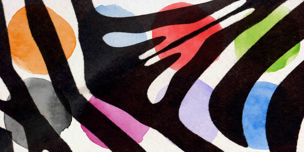 "Rainbow Zebra I" Painting Print on Canvas by Irena Orlov