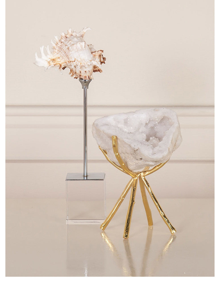 Sterling 4209-027 Spider Conch Decorative Accessory