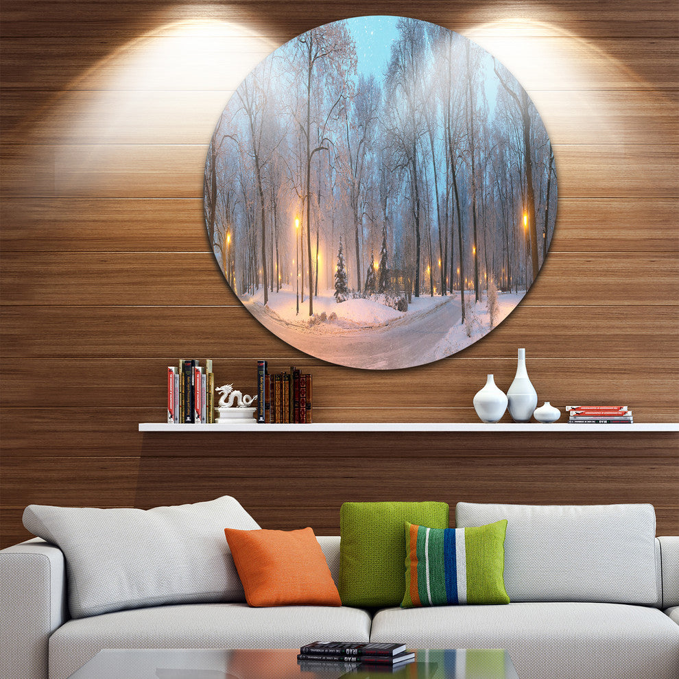 Winter Time Mariinsky Garden, Landscape Photo Disc Metal Wall Art, 38"