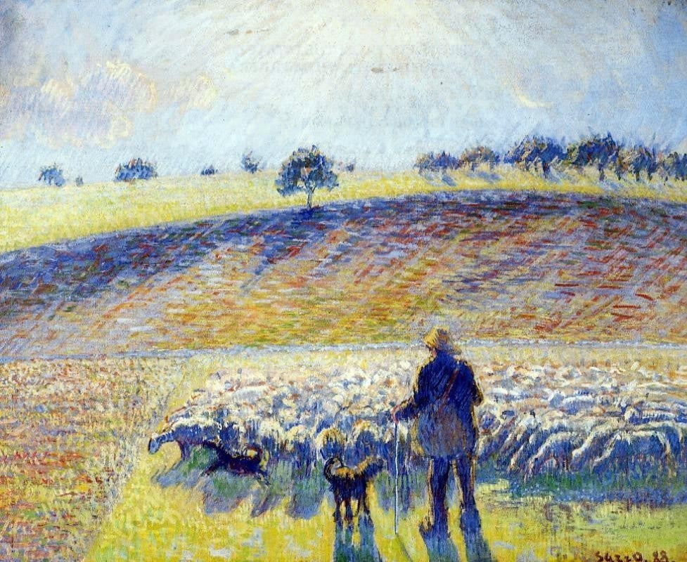 Camille Pissarro Shepherd and Sheep - 20" x 25" Premium Canvas Print