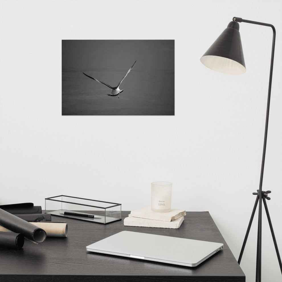 Flying Free Black & White (Coastal Bird) Wildlife Photo Unframed Wall Art Print, 12" X 18"