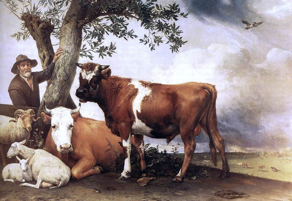 Paulus Potter Young Bull - 18" x 27" Premium Canvas Print