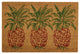 Waverly Greetings "Pineapple" Doormat, Orange, 1'6"x2'4"