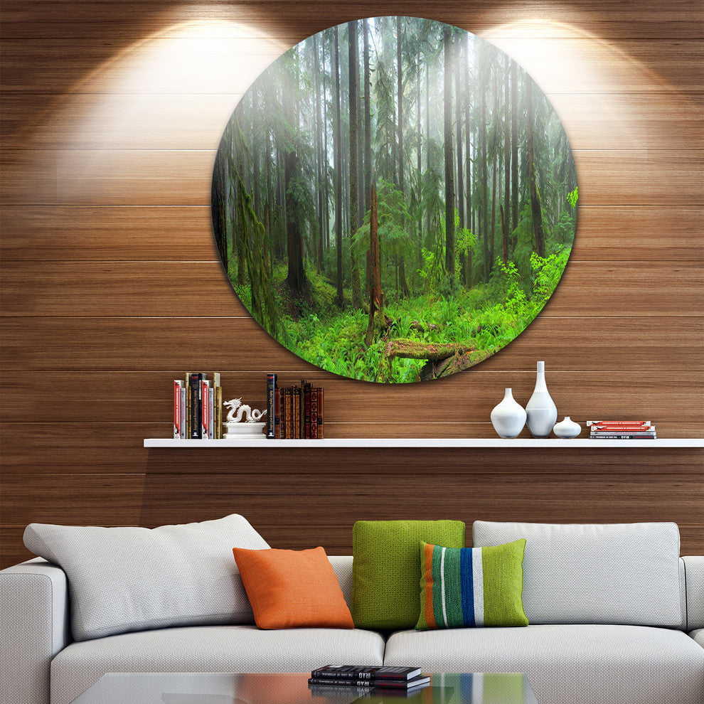 Hoh Rain Forest, Landscape Photography Round Wall Art, 11"