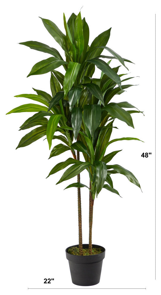 48" Dracaena Silk Plant, Real Touch