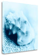 "Nautica No4" By Alan Blaustein, Giclee Print on Gallery Wrap Canvas