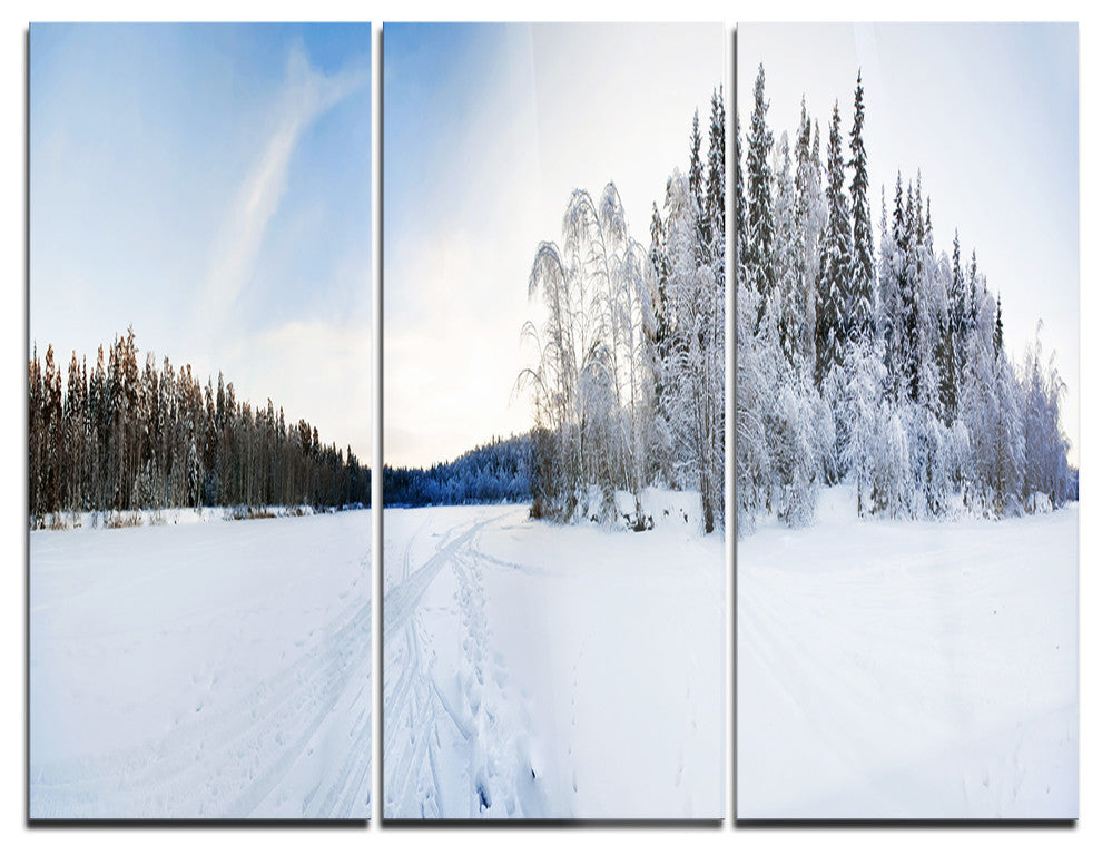 "Winter Field Landscape" Photo Metal Wall Art, 3 Panels, 36"x28"
