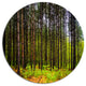 Pine Trees In Michaux Forest, Modern Forest Disc Metal Wall Art, 36"