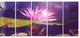 Pink Lotus Flower on Blue Background, Floral Canvas Art Print, 60"x28", 5 Panels