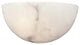 1-Light Wall Sconce