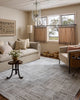 Loloi Hollis Pebble / Ivory 3'-11" x 5'-7" Accent Rug