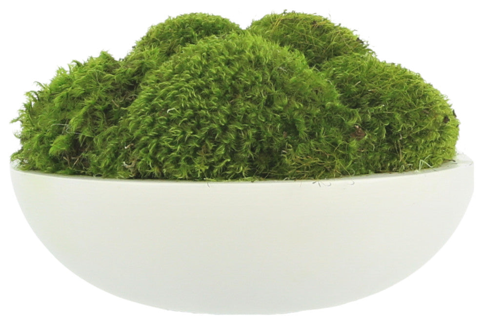 Natural Moss In White Bowl