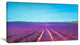 "Lavender Flowers And Clear Sky" Landscape Wall Art Print, 32"x16"