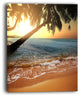 "Beautiful Sunset on Tropical Beach" Seashore Canvas Print, 30"x40"