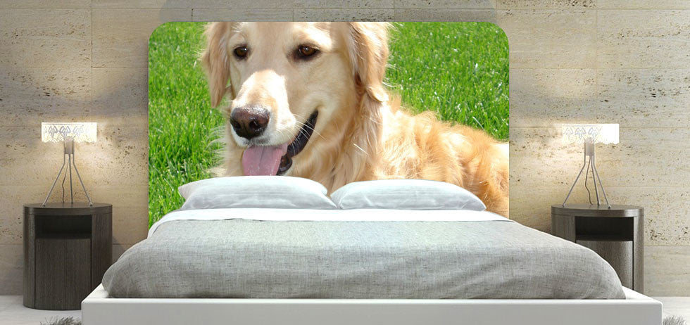 "Golden Retriever 45" Headboard