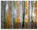 Wood Panorama Changing Seasons, Landscape Triptych Canvas Print, 36x28, 3 Panels