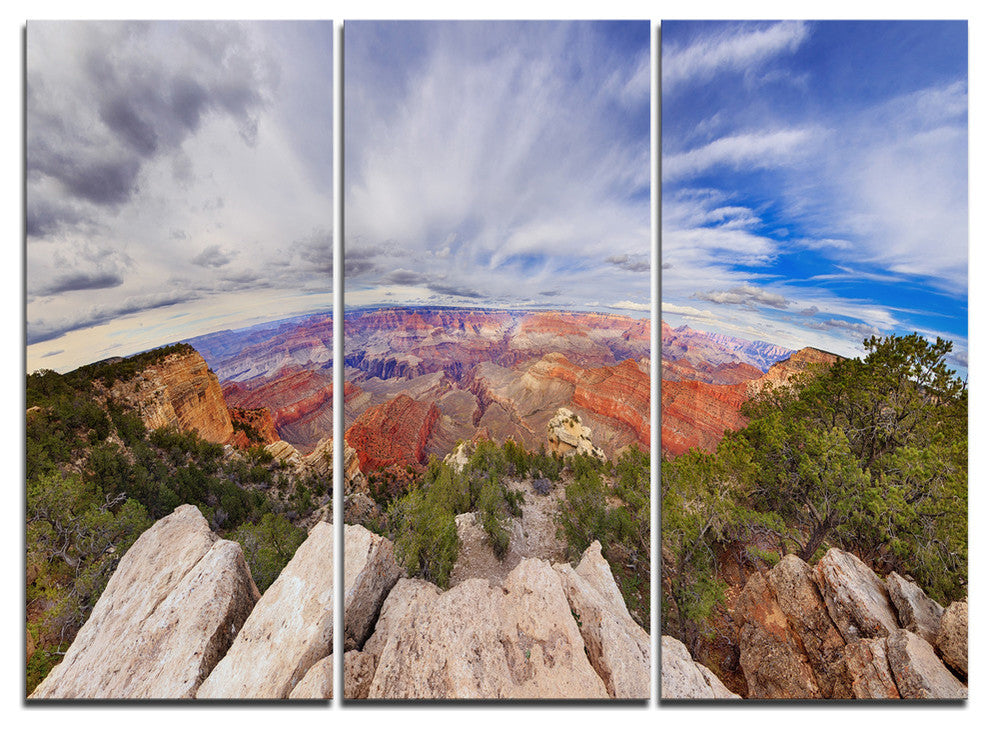 "Eye Looking at the Grand Canyon" Metal Wall Art, 3 Panels, 36"x28"