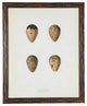 Bird Egg Print, Brown, Distressed Brown Frame