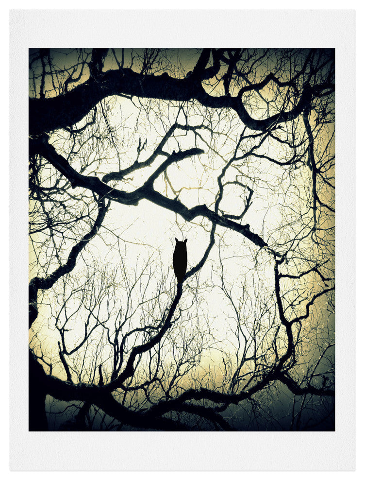 Deny Designs Shannon Clark Mysterious Woods Art Print
