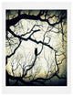 Deny Designs Shannon Clark Mysterious Woods Art Print