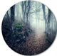 Old Style Path In Forest, Landscape Photo Disc Metal Artwork, 36"