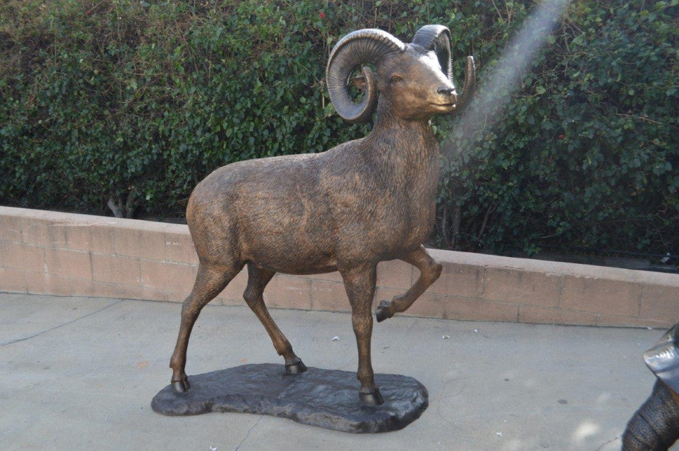 Big horn sheep giant bronze statue -  Size: 45"L x 22"W x 61"H.