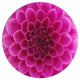 Dark Pink Abstract Flower Petals, Floral Round Metal Wall Art, 36"