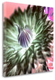 "Floral Color - 11" By Alan Blaustein, Giclee Print on Gallery Wrap Canvas