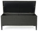 GDF Studio Irene Outdoor Wicker Storage Chest, Gray