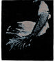 Dare First Time Rug, 8' Square