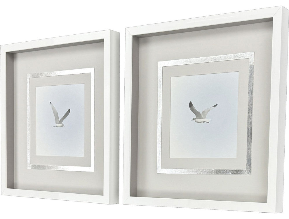 Modern Flight I Framed Art, 2-Piece Set