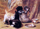 Henriette Ronner-Knip Teatime - 21" x 28" Premium Canvas Print