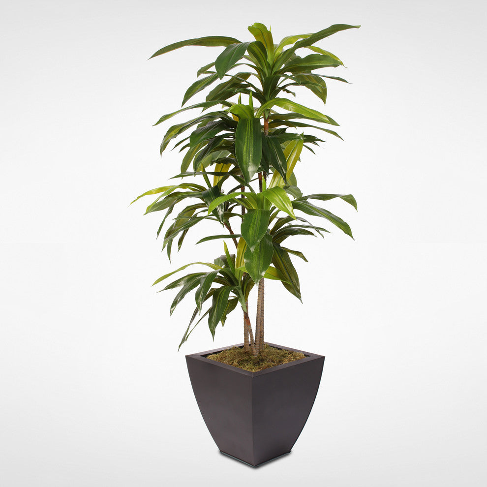 4ft Real Touch Dracaena Massangeana Tree in a Contemporary Metal Pot