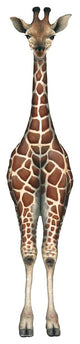 Baby Giraffe Peel and Stick Applique 70917