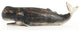 Whale Sculpture, Small